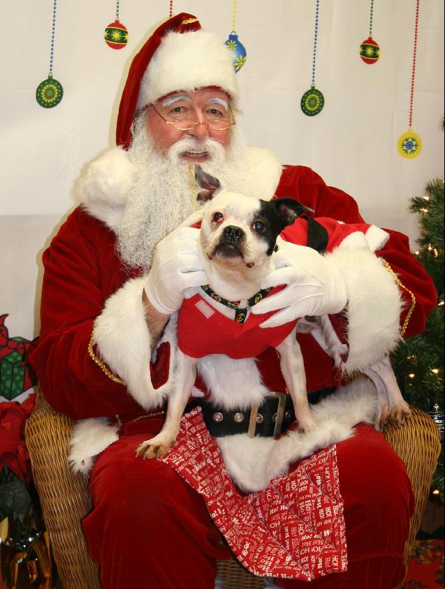 Ernest and Santa