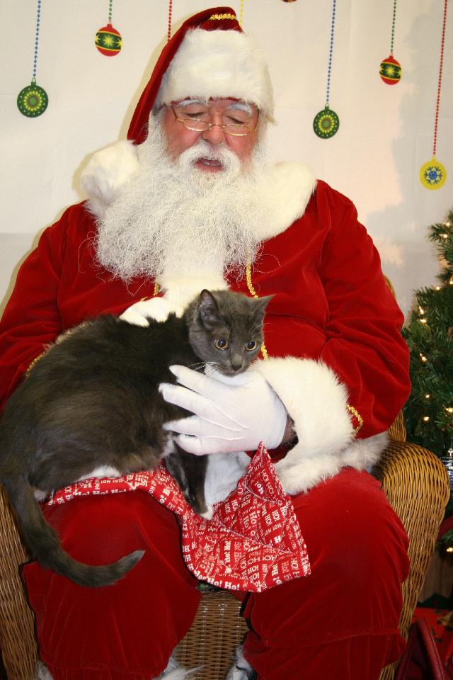 Sammie and Santa