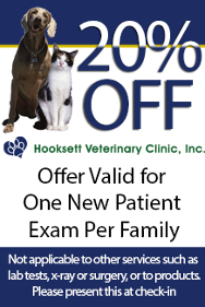20% Off for One New Patient Exam Coupon
